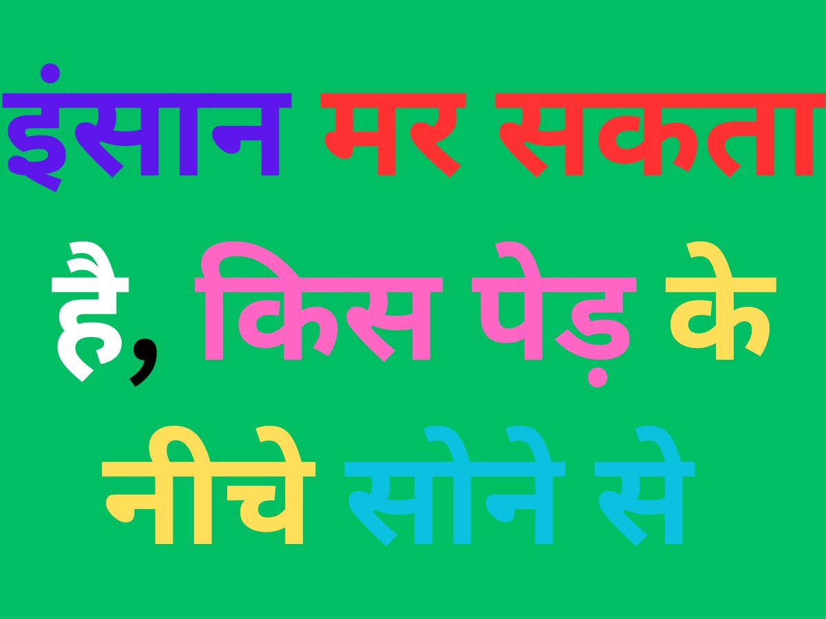 interesting questions with answer in hindi